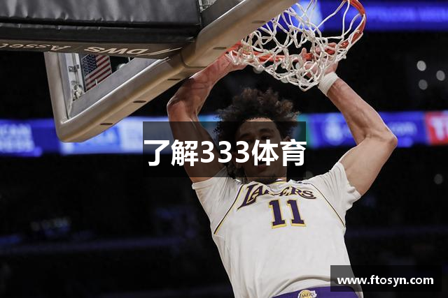 了解333体育